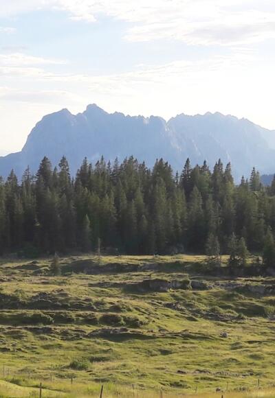 Blick von der Terrasse zum Wilden Kaiser