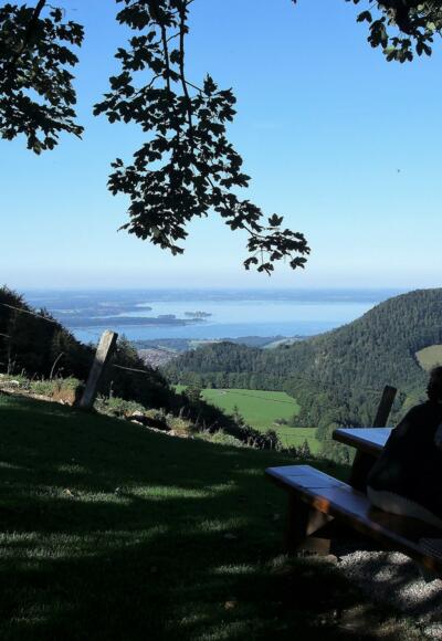 Chiemseeblick von der Sameralm