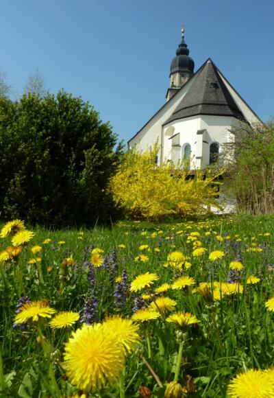 Stiftskirche-Seekirchen