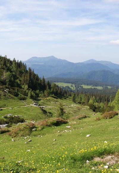 Blick über dem Straubinger Haus nach Norden