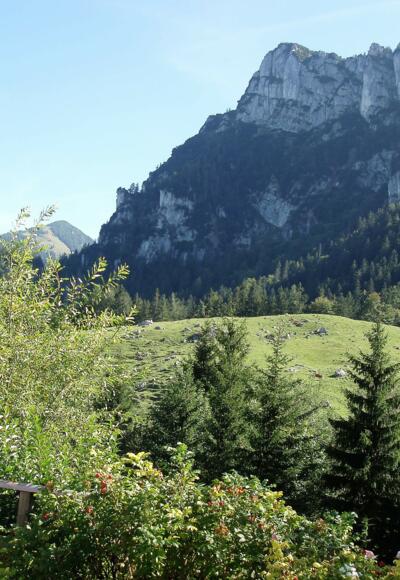 Blick auf Gederer Wand