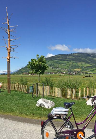 Radinsel "Schlangenbaum" direkt am Tauernradweg