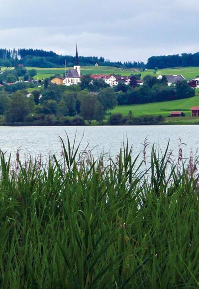 Wunderschöne Seeblicke vom Ostufer