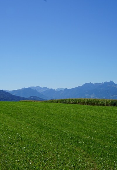 Blick auf die Bayerischen Alpen von Petzgersdorf