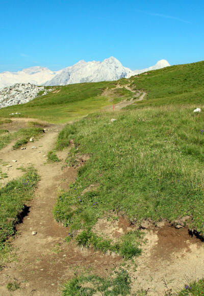 Grüne Wiesen trotzen der sonst kargen Kalksteinlandschaft