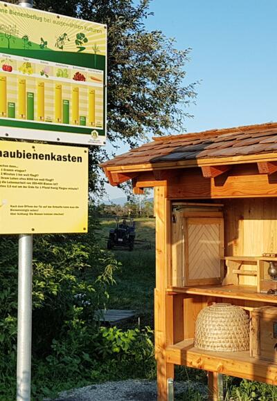 Schaubienenkasten Rottau