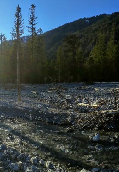 Das Bachbett der Friederlaine im Friedergrieß