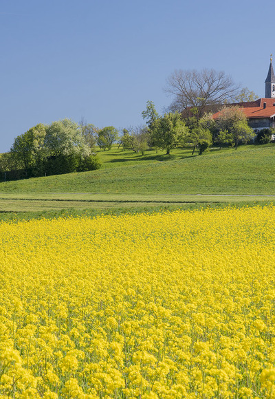 Roha Fotothek Fürmann - Blick auf Steinhögl
