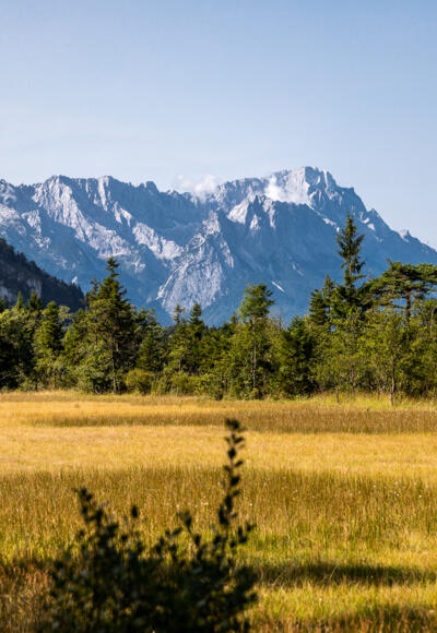 Traumhafter Zugspitzblick zwischen Eschenlohe und Garmisch