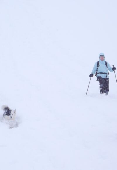 Im Abstieg kurz unterhalb vom Schachen