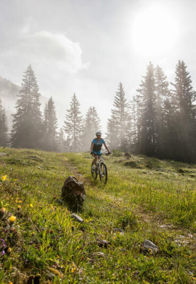 Mountainbiketour in der Zugspitz Arena Bayern-Tirol
