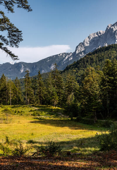 Lichtung mit Blick Zugspitzmassiv