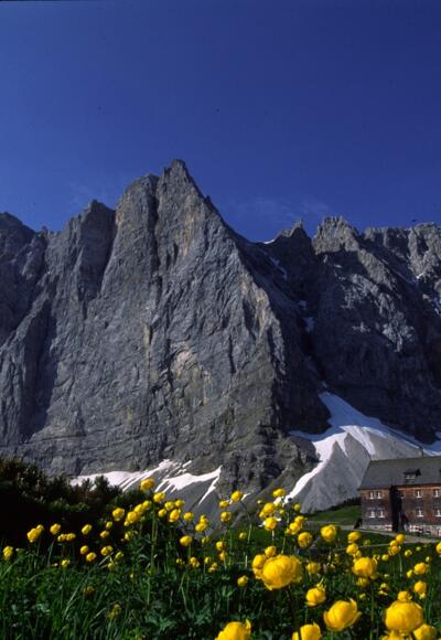 Falkenhütte