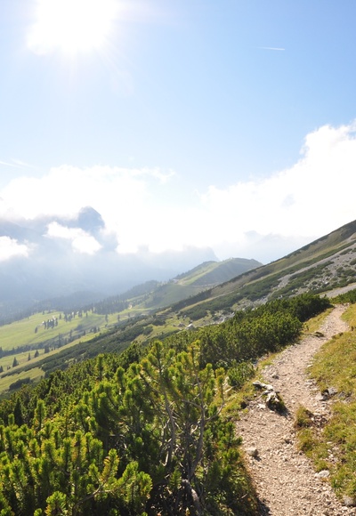 Immer der Sonne entgegen - da lacht das Herz