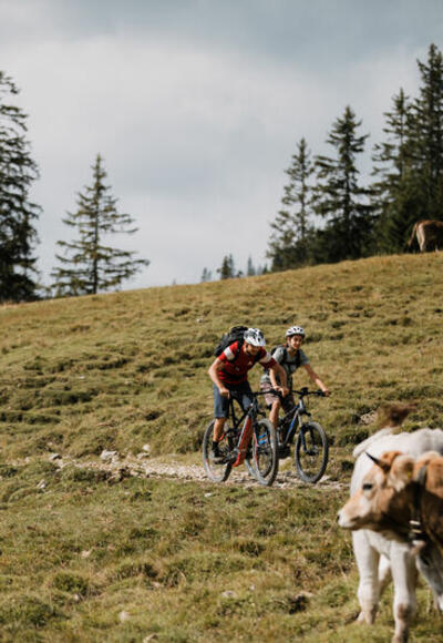 Mountainbiketour in der Zugspitz Arena Bayern-Tirol