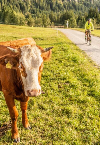 Die gut ausgebauten Radwege im Loisachtal