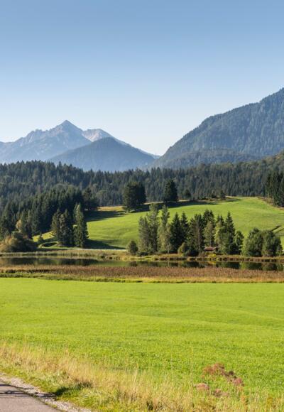Der breite Radweg entlang des Schmalensee