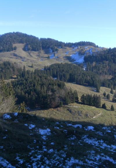 Pasterkopf oder Pastaukopf