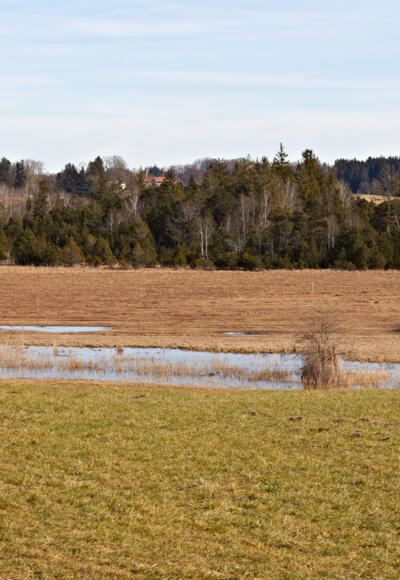 Blick bei Jägersbronn über das Moor.