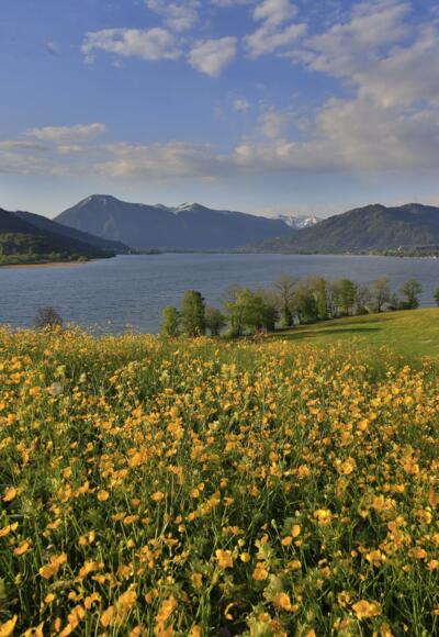 Der Start zur Holzeralm in Kaltenbrunn