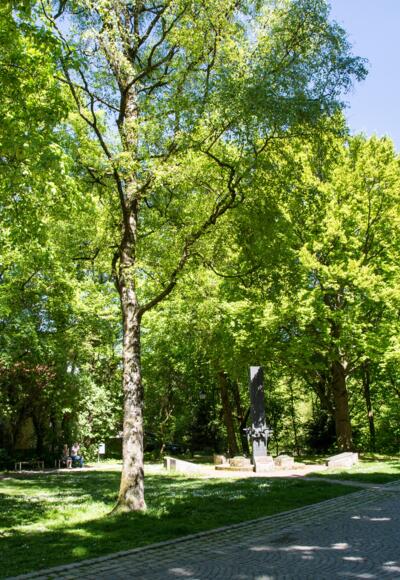 Start Ziel Grüner Markt