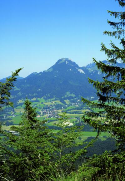 Blick von den Hängen des Aurachköpfls zum Breitenstein
