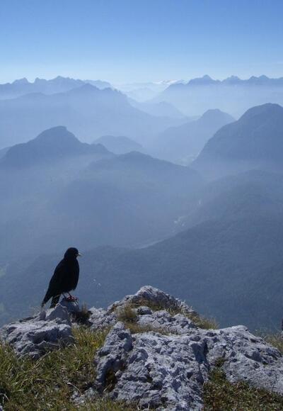 Ausblick vom Hochstaufen