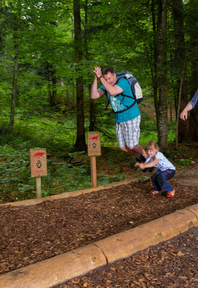 Bergwald-Erlebnispfad: mit den Waldbewohner um die Wette springen