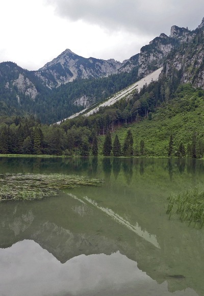 Blick zum Hochstaufen