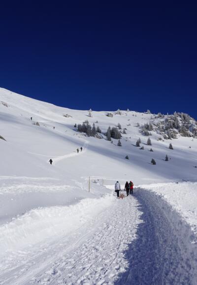 Zwischen der Wildfeldalm und dem Rotwandhaus