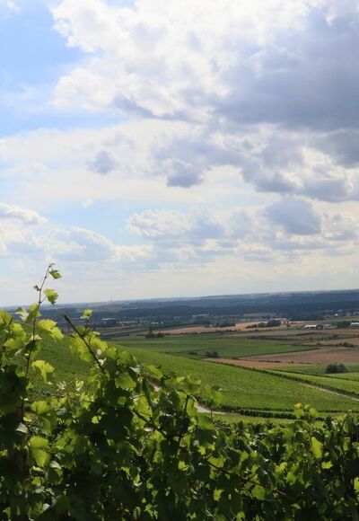 Blick auf den Schwanberg