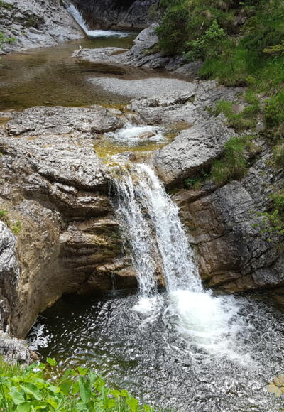 Die zahlreichen kleinen Wasserfälle im Pfanngraben