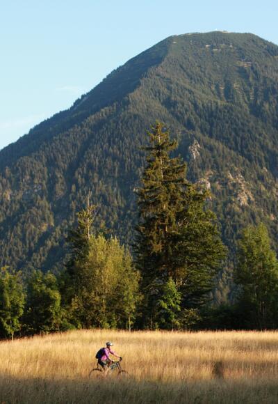 Unterhalb des Wallbergs