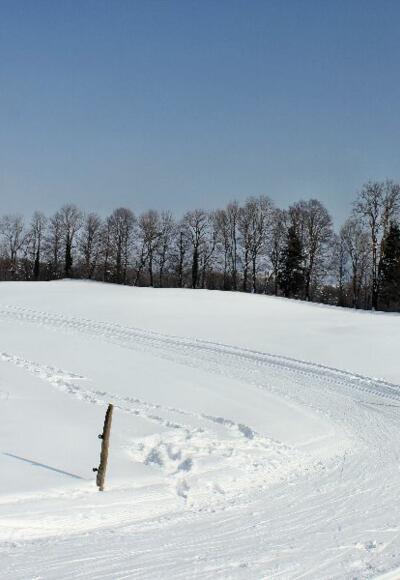 Hainzenhöhe Steinberg