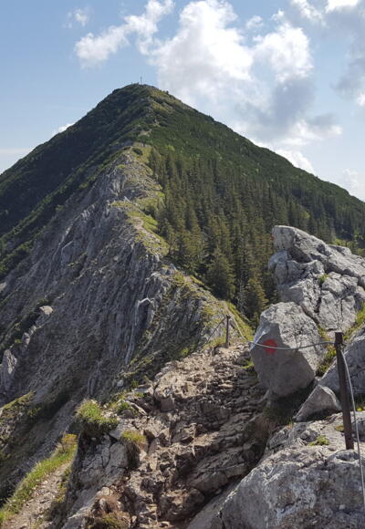 Blick über den Grat zum Brecherspitz