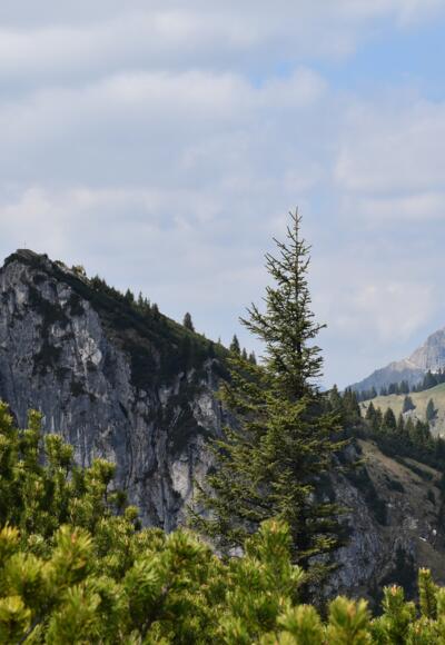 Kurz vorm Gipfel des Teufelstättkopf sehen wir den weiteren Verlauf der Route mit Laubeneck und Hennenkopf