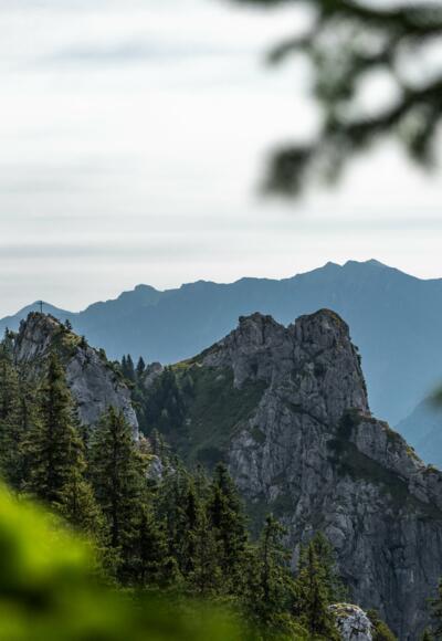 Erster Blick auf das August-Schuster-Haus