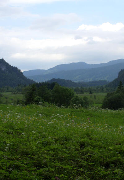 Fernwanderweg Meditationsweg Ammergauer Alpen - am Döttenbichl