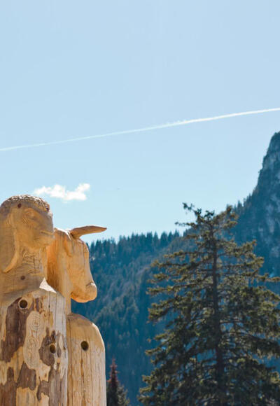 Wanderung - Kolbensattelhütte - Erlebnisspielplatz