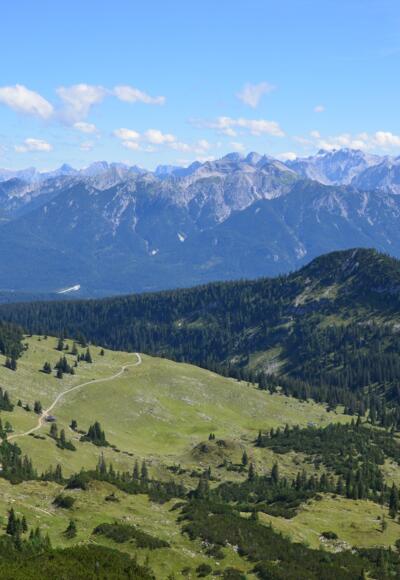 Kühalm von der Hohen Kisten