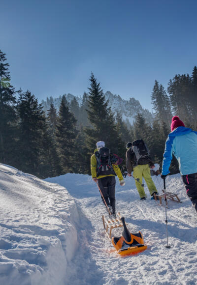 Rodelbahn am Pürschling
