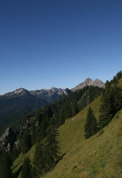 Südflanke Latschenkopf