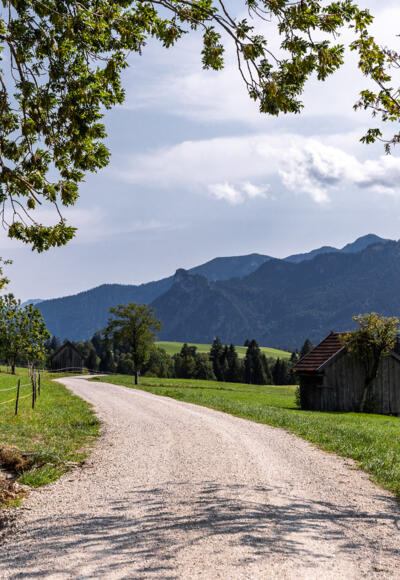Schotterweg durch Wiesen der Ammergauer Alpen