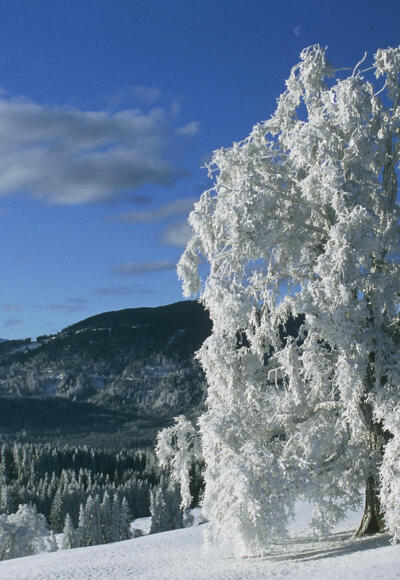 Winterwanderung -Achele Runde