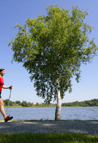 Nordic Walking Geizenmoos-Trail - am Soier See