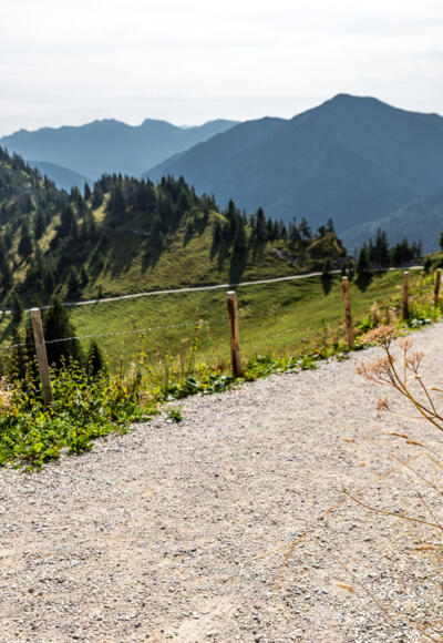 Wanderweg Ammergauer Alpen