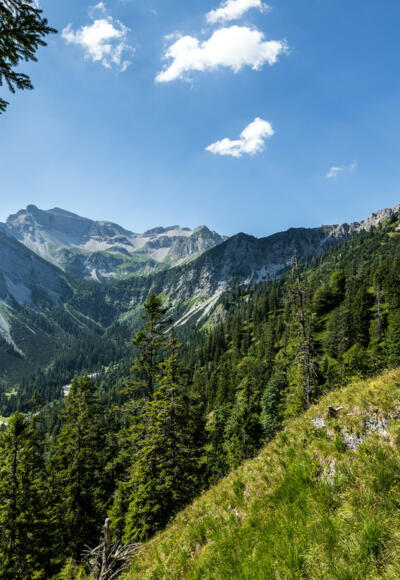 Weitblick über bewaldeten Hang und schmalen Pfad