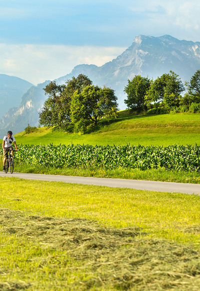 Heuernte bei Muntigl mit Untersberg im Hintergrund