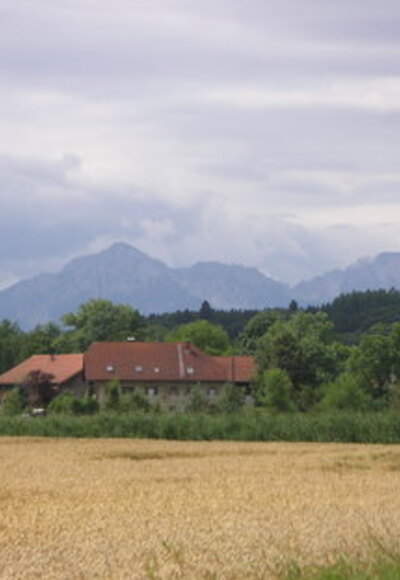 Blick auf den Hochstaufen.