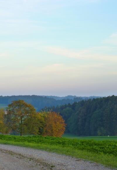 Ausblick bei Schachten